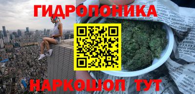 mdpv Кингисепп