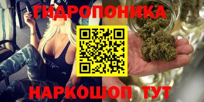 стаф Камышлов